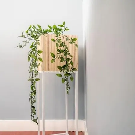 The House Of 14 -central, Sauna And Airport Shuttle Apartment Stavanger