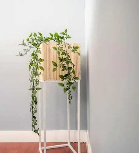 The House Of 14 -central, Sauna And Airport Shuttle Appartement Stavanger